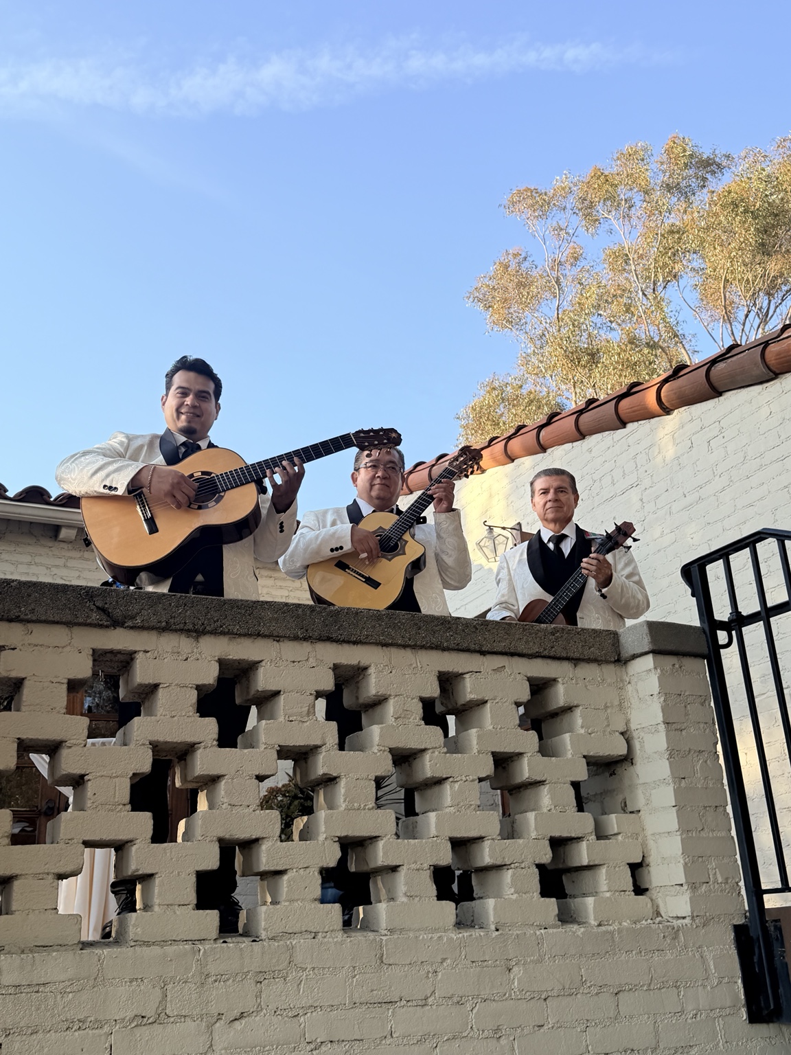 Trío para Serenatas en Los Ángeles